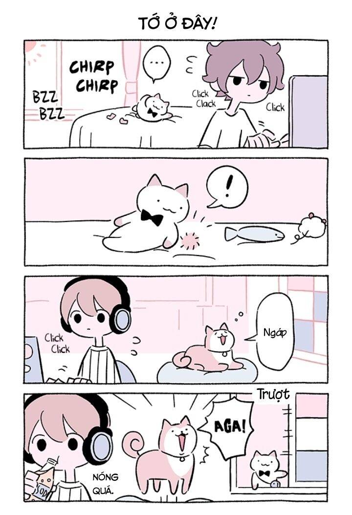 Chú Mèo Kỳ Diệu Kyuu-Chan Chapter 702 - 3