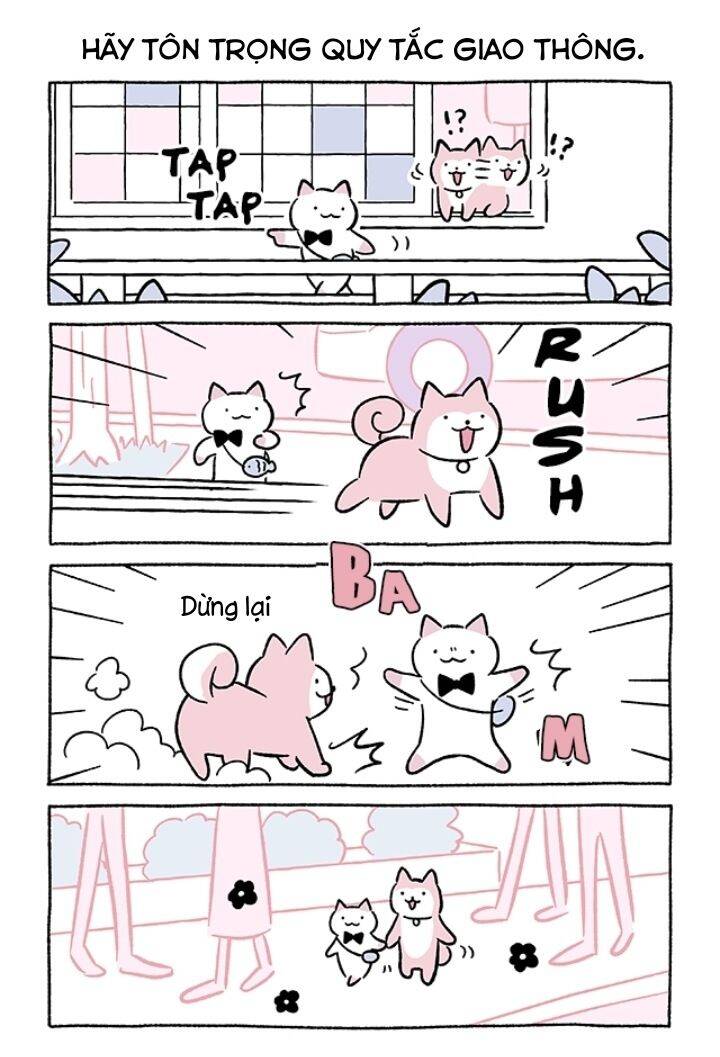 Chú Mèo Kỳ Diệu Kyuu-Chan Chapter 703 - 3