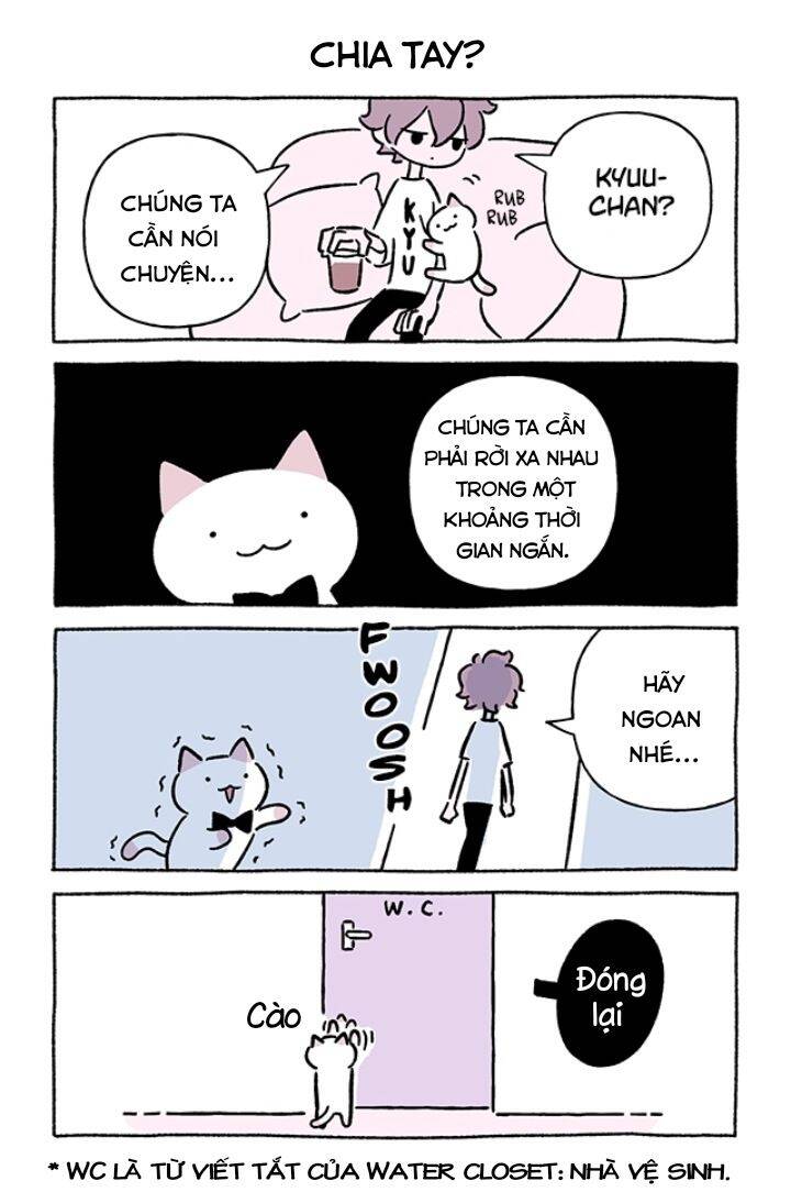 Chú Mèo Kỳ Diệu Kyuu-Chan Chapter 708 - 3