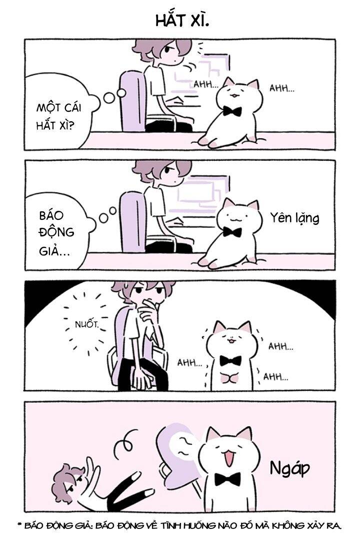 Chú Mèo Kỳ Diệu Kyuu-Chan Chapter 712 - 3