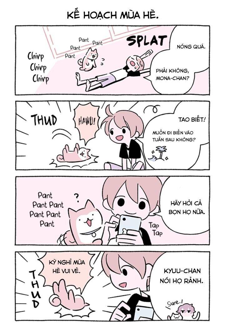 Chú Mèo Kỳ Diệu Kyuu-Chan Chapter 717 - 3