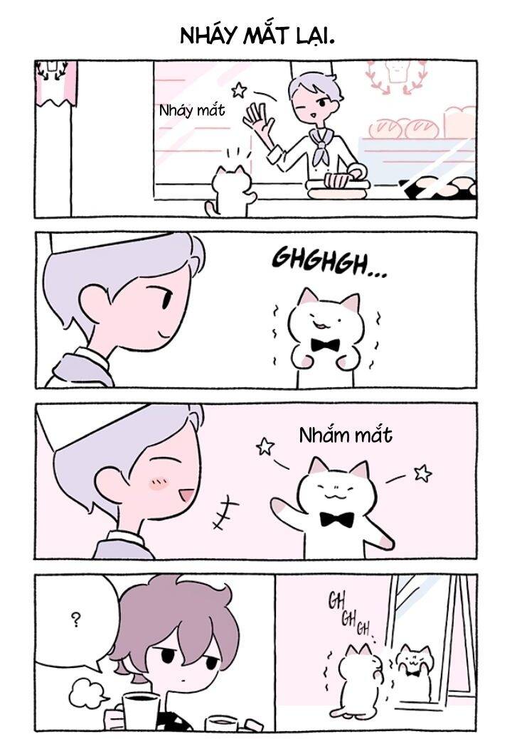 Chú Mèo Kỳ Diệu Kyuu-Chan Chapter 746 - 3