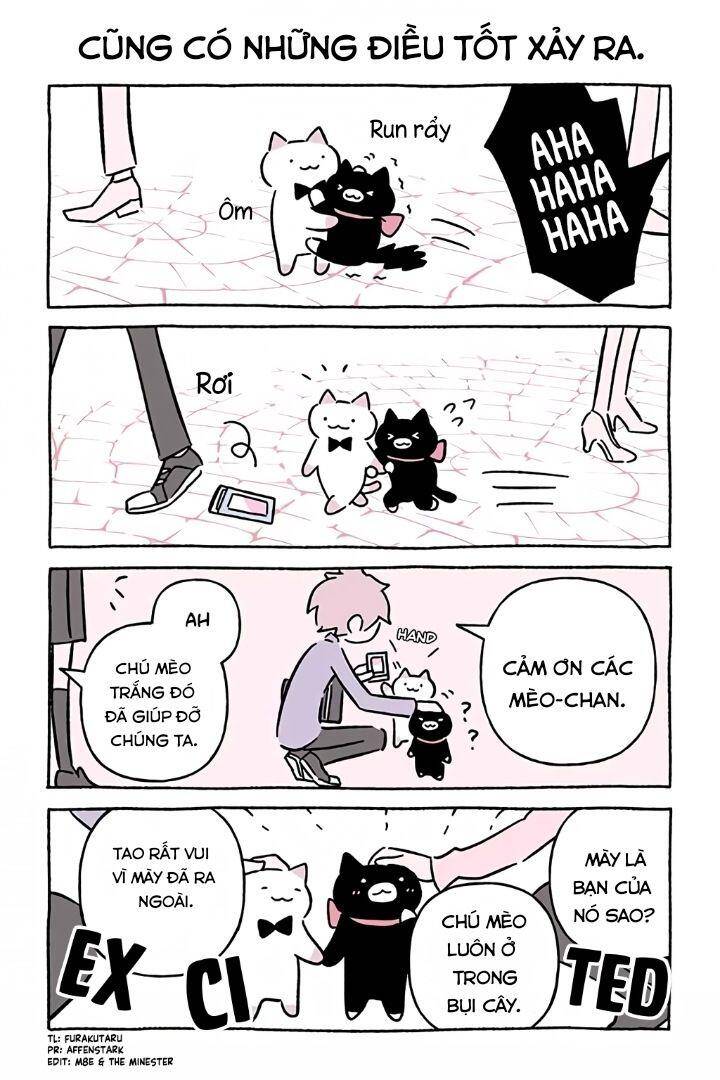 Chú Mèo Kỳ Diệu Kyuu-Chan Chapter 757 - 3