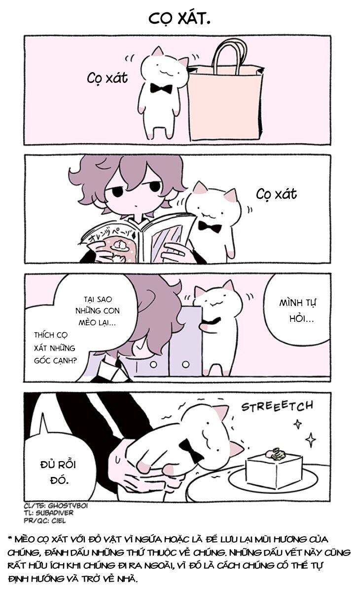 Chú Mèo Kỳ Diệu Kyuu-Chan Chapter 770 - 3