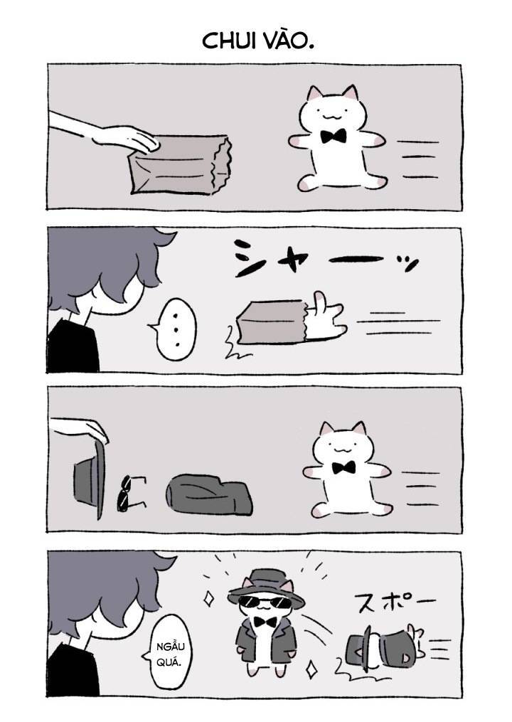 Chú Mèo Kỳ Diệu Kyuu-Chan Chapter 800.5 - 8