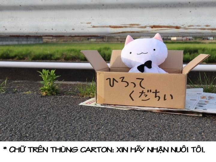 Chú Mèo Kỳ Diệu Kyuu-Chan Chapter 800 - 22