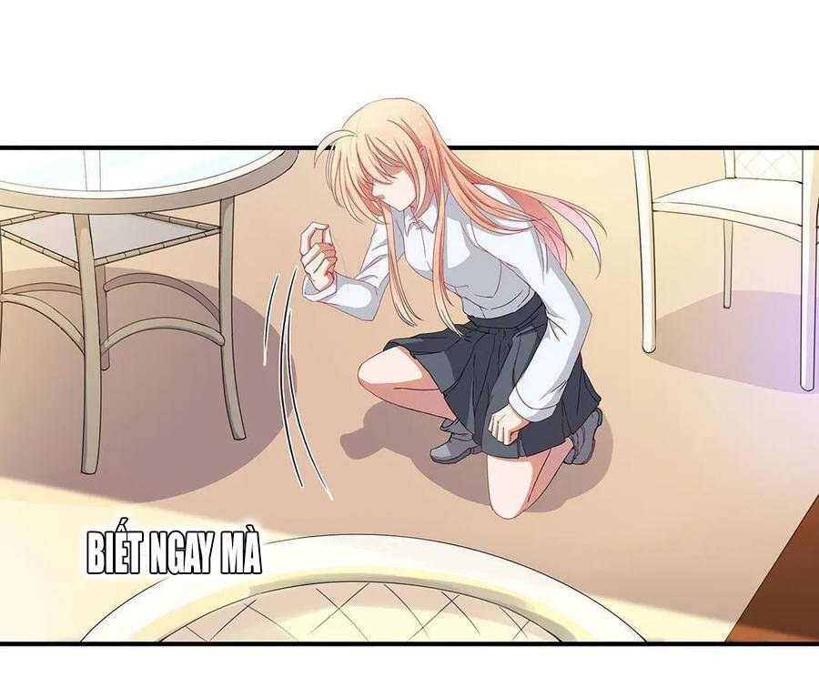 Tổng Tài! Đừng Trả Hàng Nha! Chapter 70 - 20