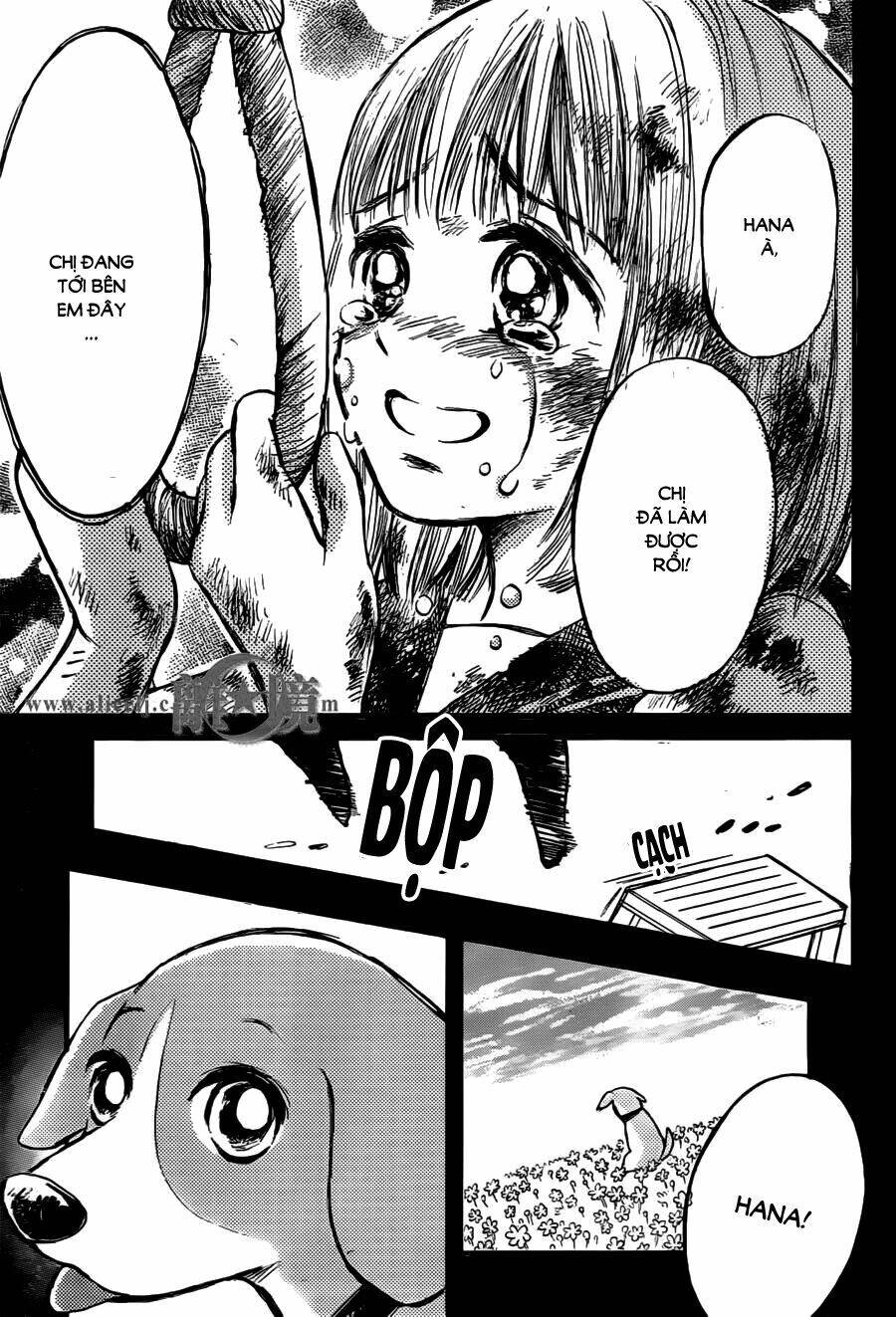 Hope Chapter 15 - 29