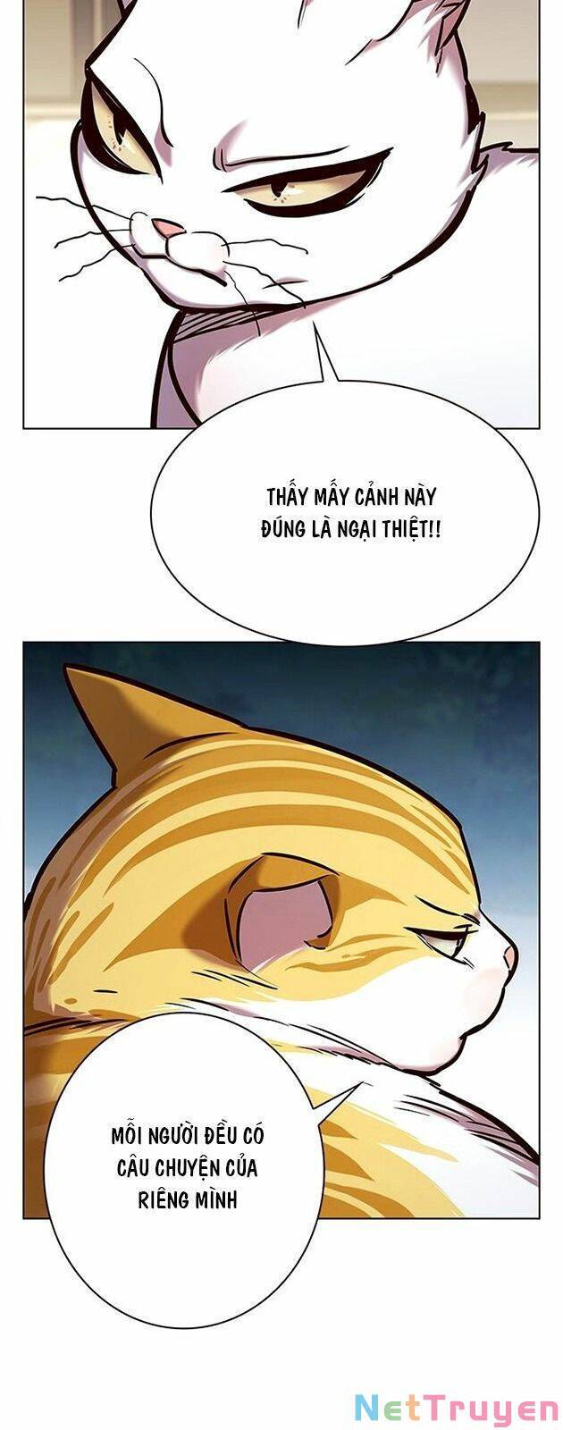 Hoá Thân Thành Mèo Chapter 227 - 2