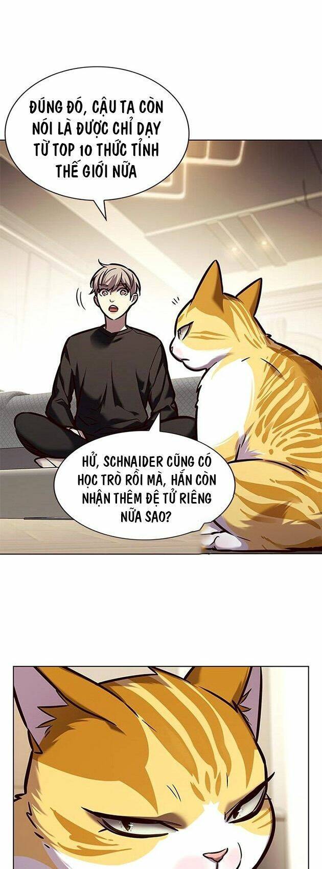 Hoá Thân Thành Mèo Chapter 218 - 41