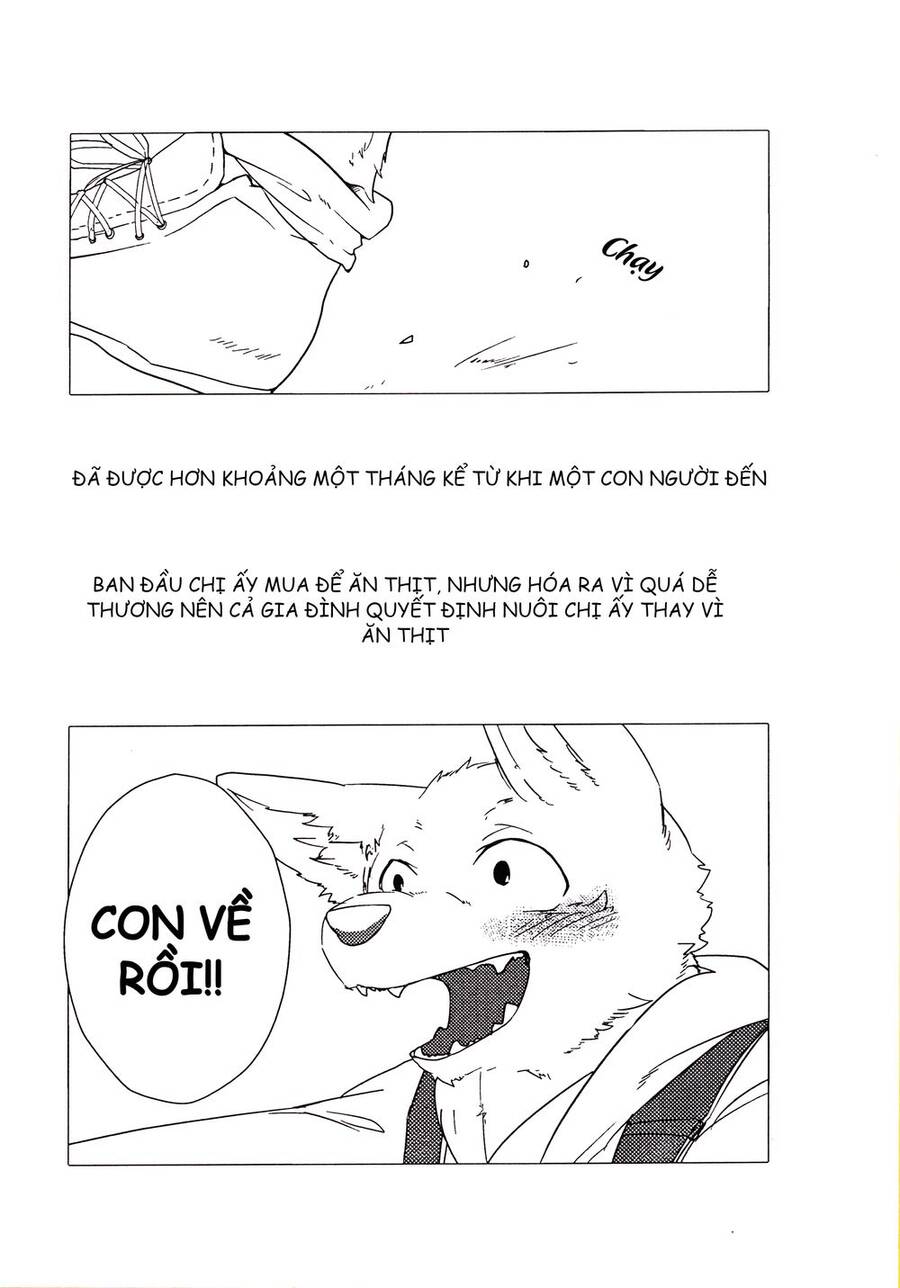 Kainushi Juujin To Pet Joshikousei Chapter 17.2 - 3