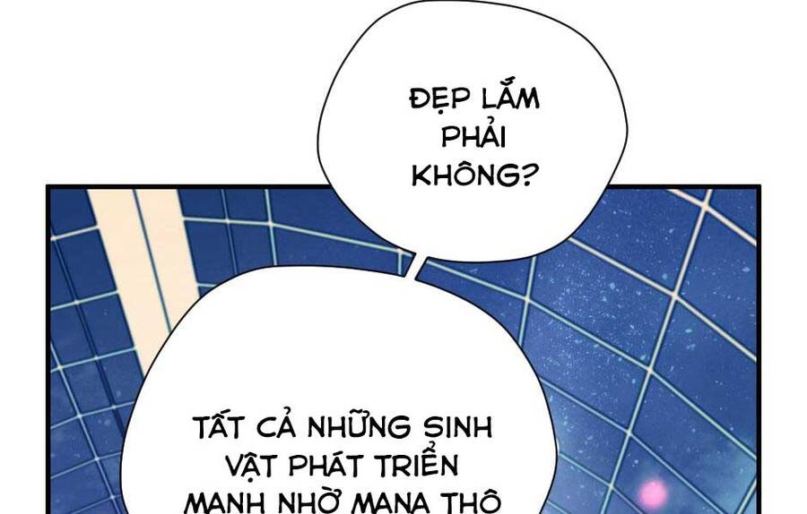 Ánh Sáng Cuối Con Đường Chapter 158 - 131