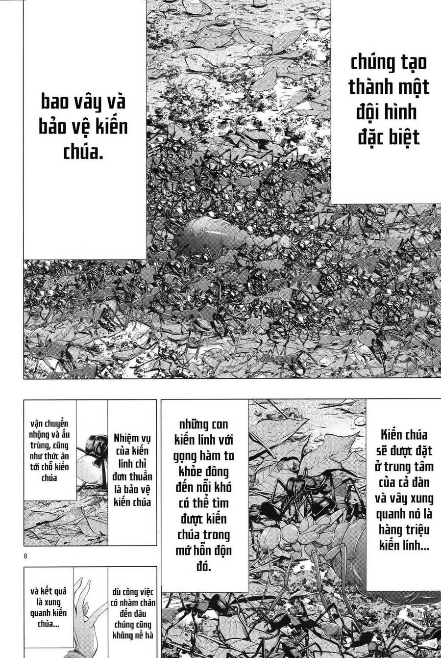 Himenospia Chapter 31 - 8