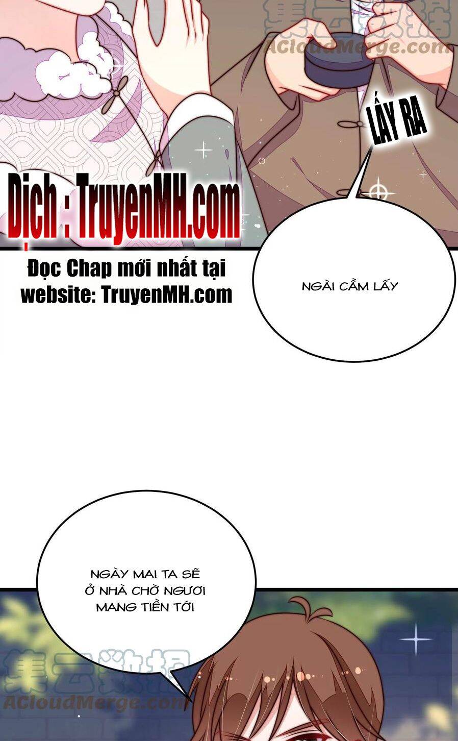 Ngày Nào Thiếu Soái Cũng Ghen Chapter 564 - 12