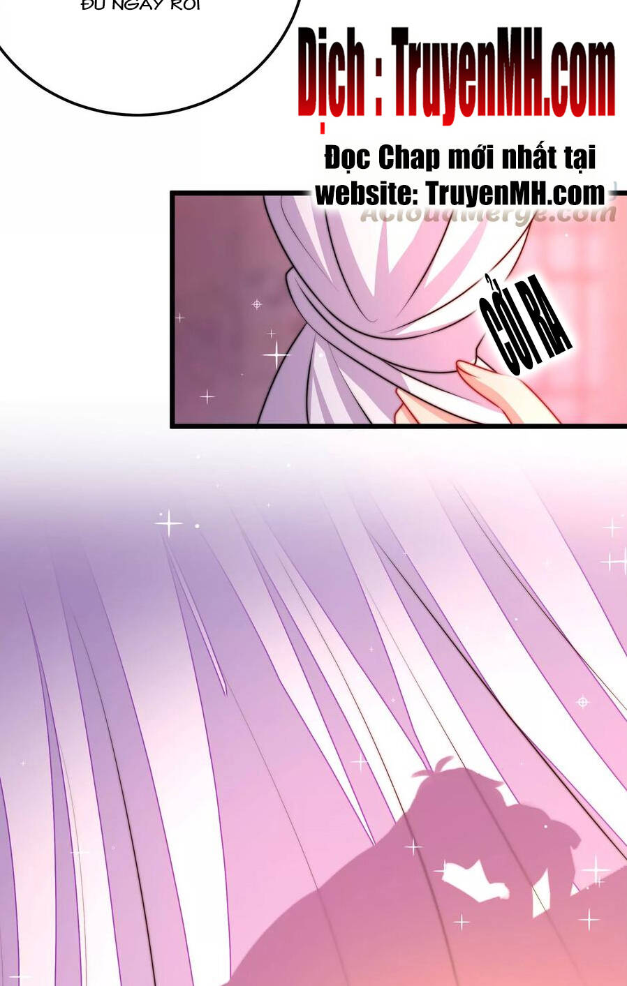 Ngày Nào Thiếu Soái Cũng Ghen Chapter 565 - 6