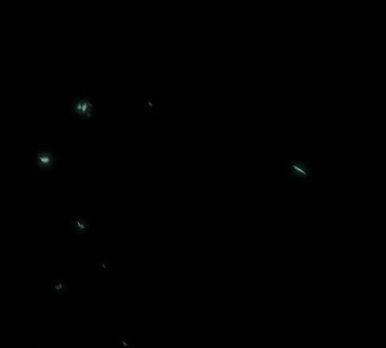 Mùa Đông Tăm Tối Chapter 118 - 70