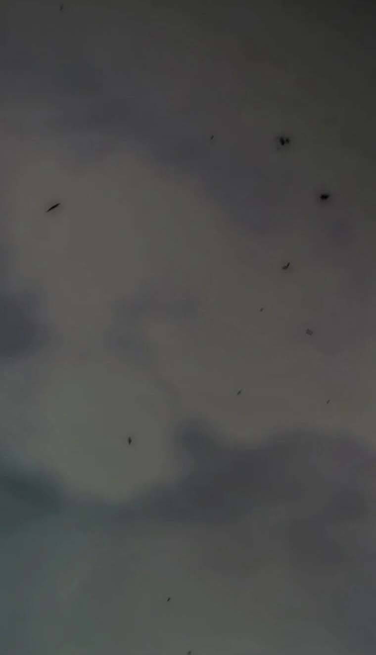 Mùa Đông Tăm Tối Chapter 118 - 75