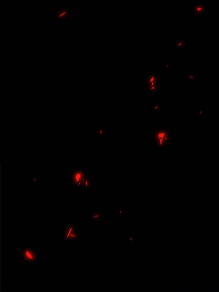 Mùa Đông Tăm Tối Chapter 98 - 80