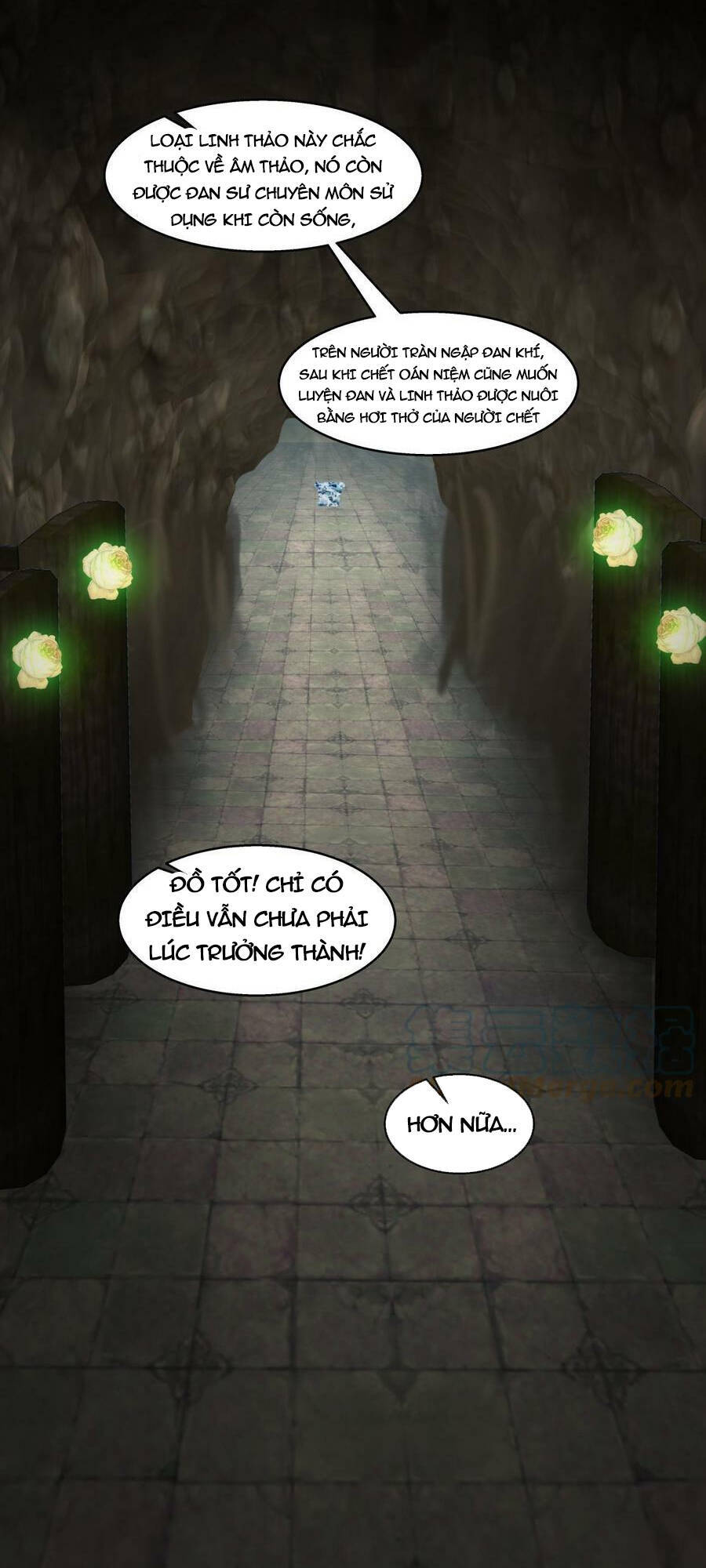 Trên Người Ta Có Một Con Rồng Chapter 559 - 13