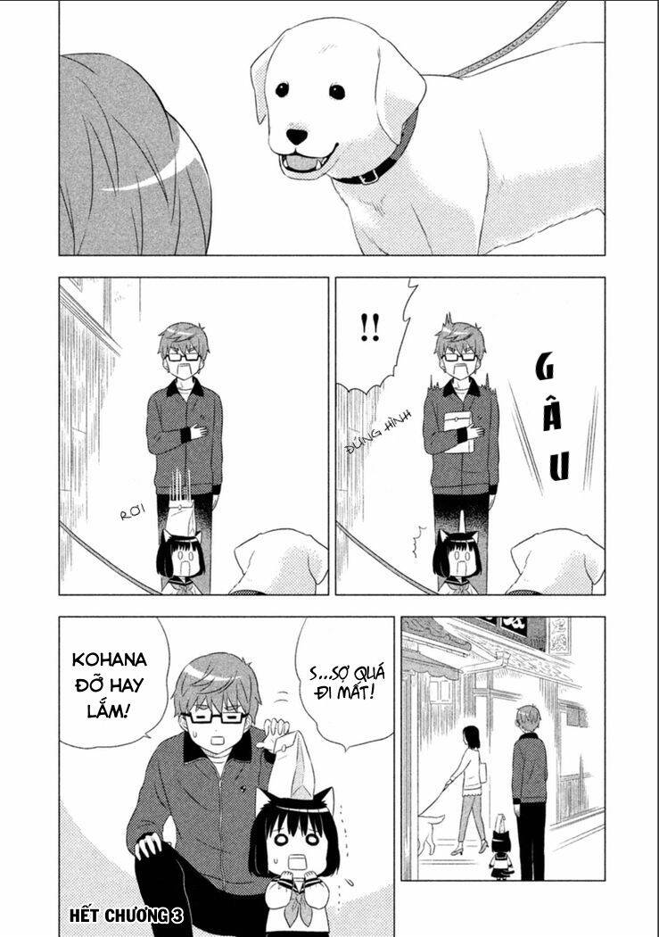Tớ Là Mèo Kohana Chapter 3 - 13