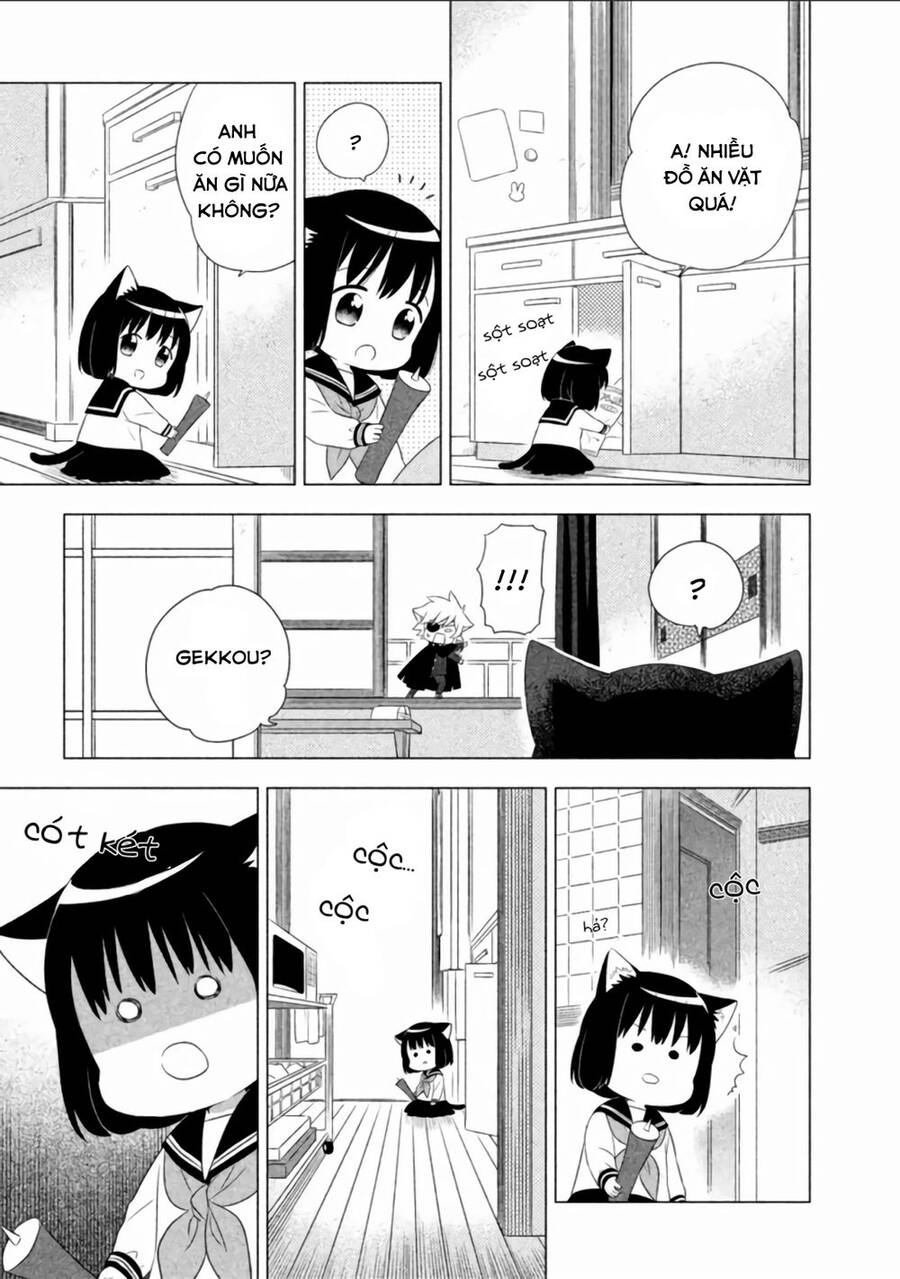Tớ Là Mèo Kohana Chapter 4 - 9