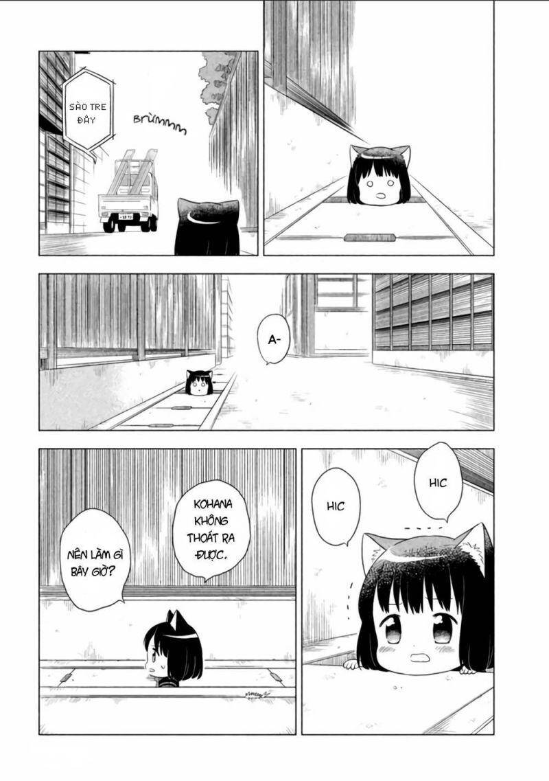 Tớ Là Mèo Kohana Chapter 7 - 5