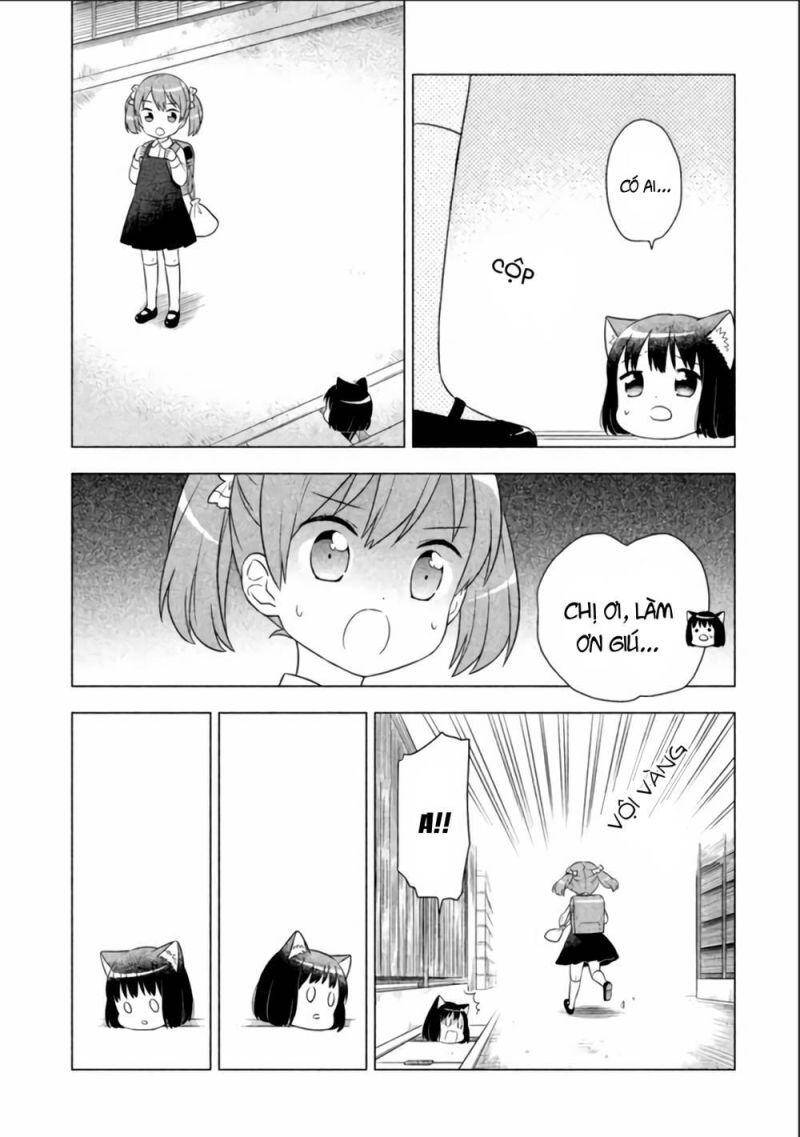 Tớ Là Mèo Kohana Chapter 7 - 8