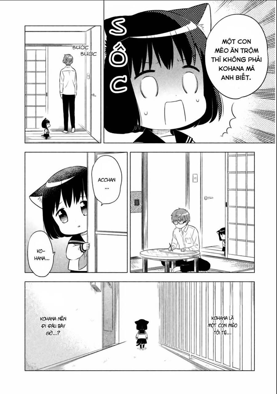 Tớ Là Mèo Kohana Chapter 8 - 6