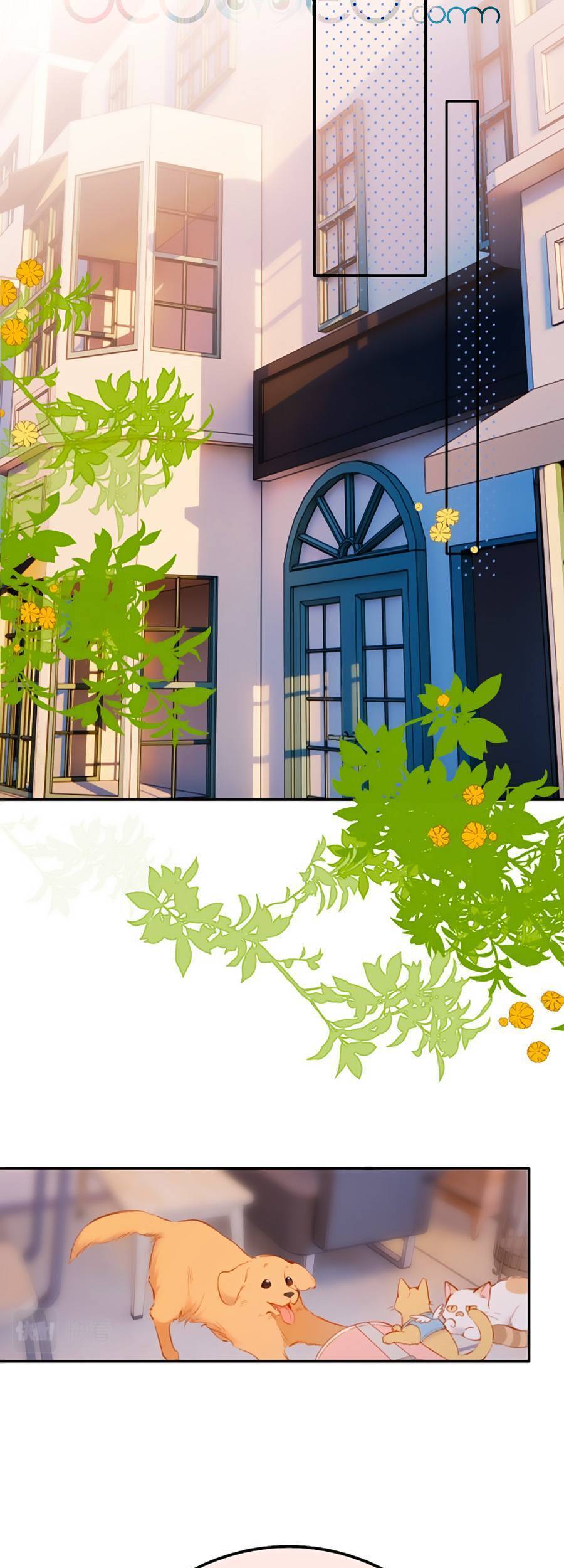 Lại Gặp Được Em Chapter 141 - 11