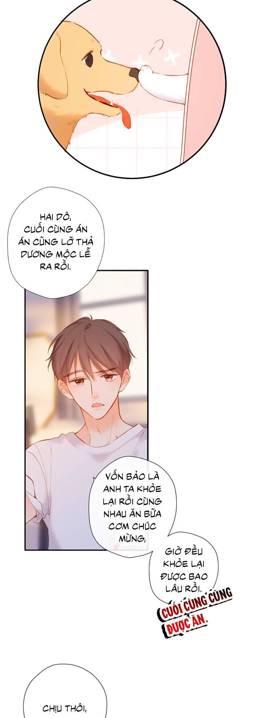 Lại Gặp Được Em Chapter 141 - 12