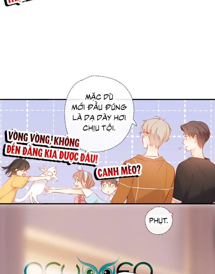 Lại Gặp Được Em Chapter 141 - 15