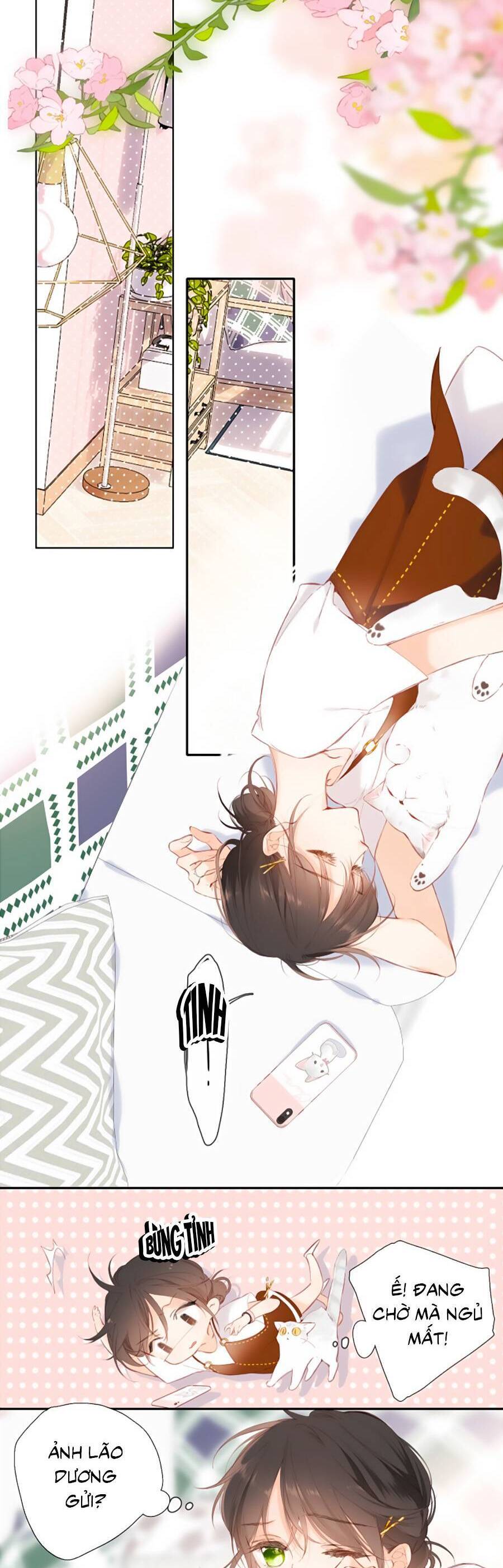 Lại Gặp Được Em Chapter 147 - 27