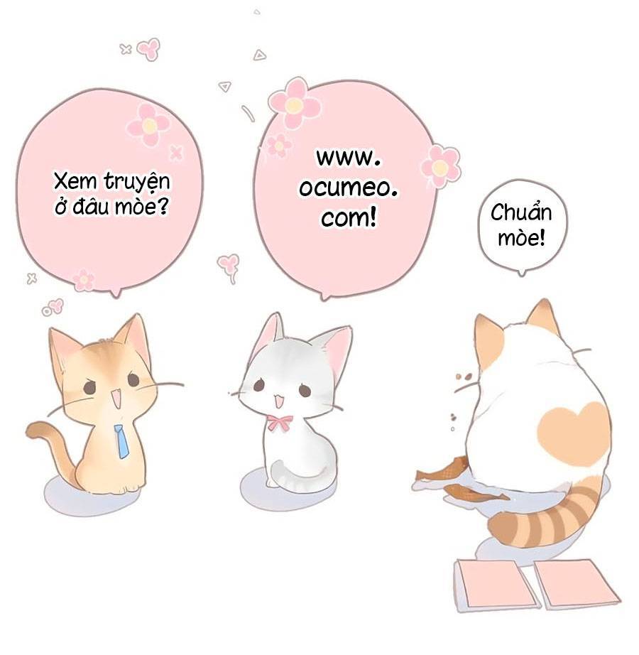 Lại Gặp Được Em Chapter 148.5 - 18