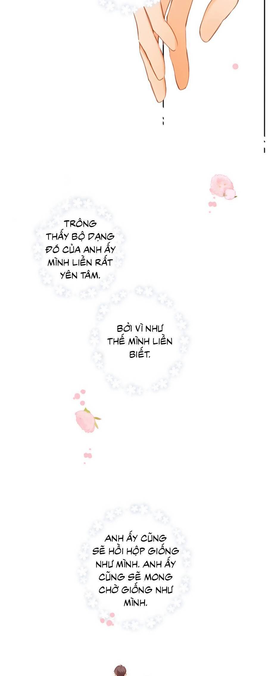 Lại Gặp Được Em Chapter 148.8 - 17