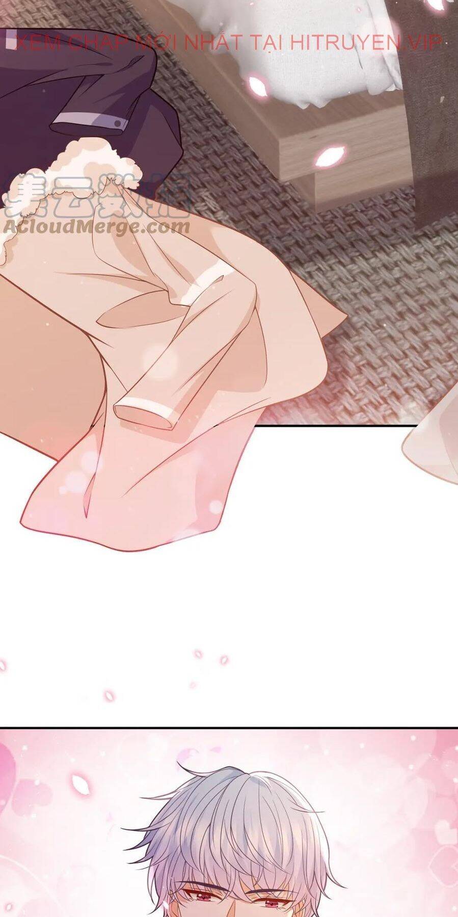 Danh Môn Chí Ái Chapter 355.2 - 17