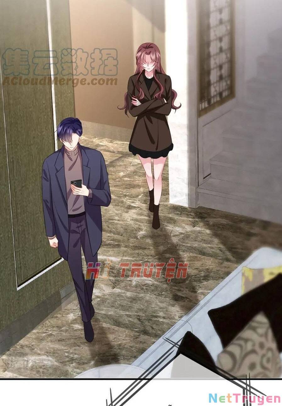 Danh Môn Chí Ái Chapter 395 - 2