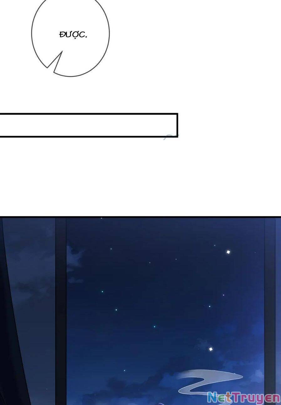 Danh Môn Chí Ái Chapter 395 - 19
