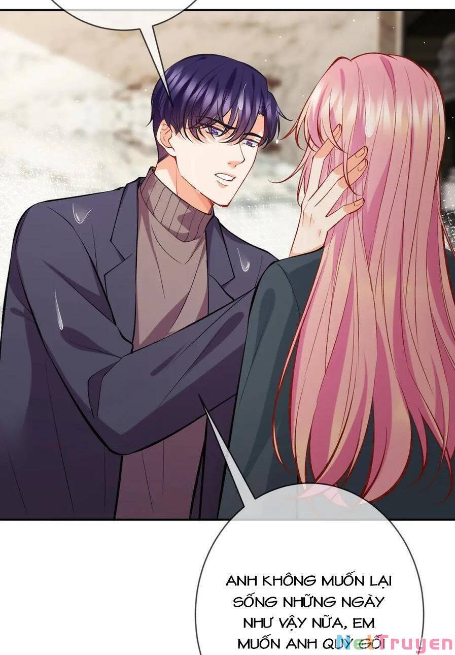 Danh Môn Chí Ái Chapter 395 - 47