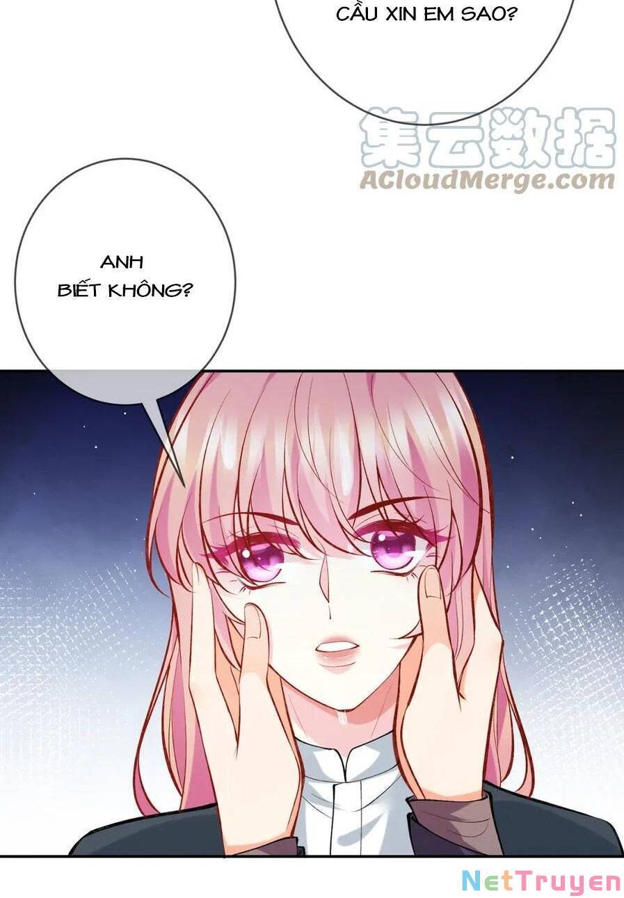 Danh Môn Chí Ái Chapter 395 - 48