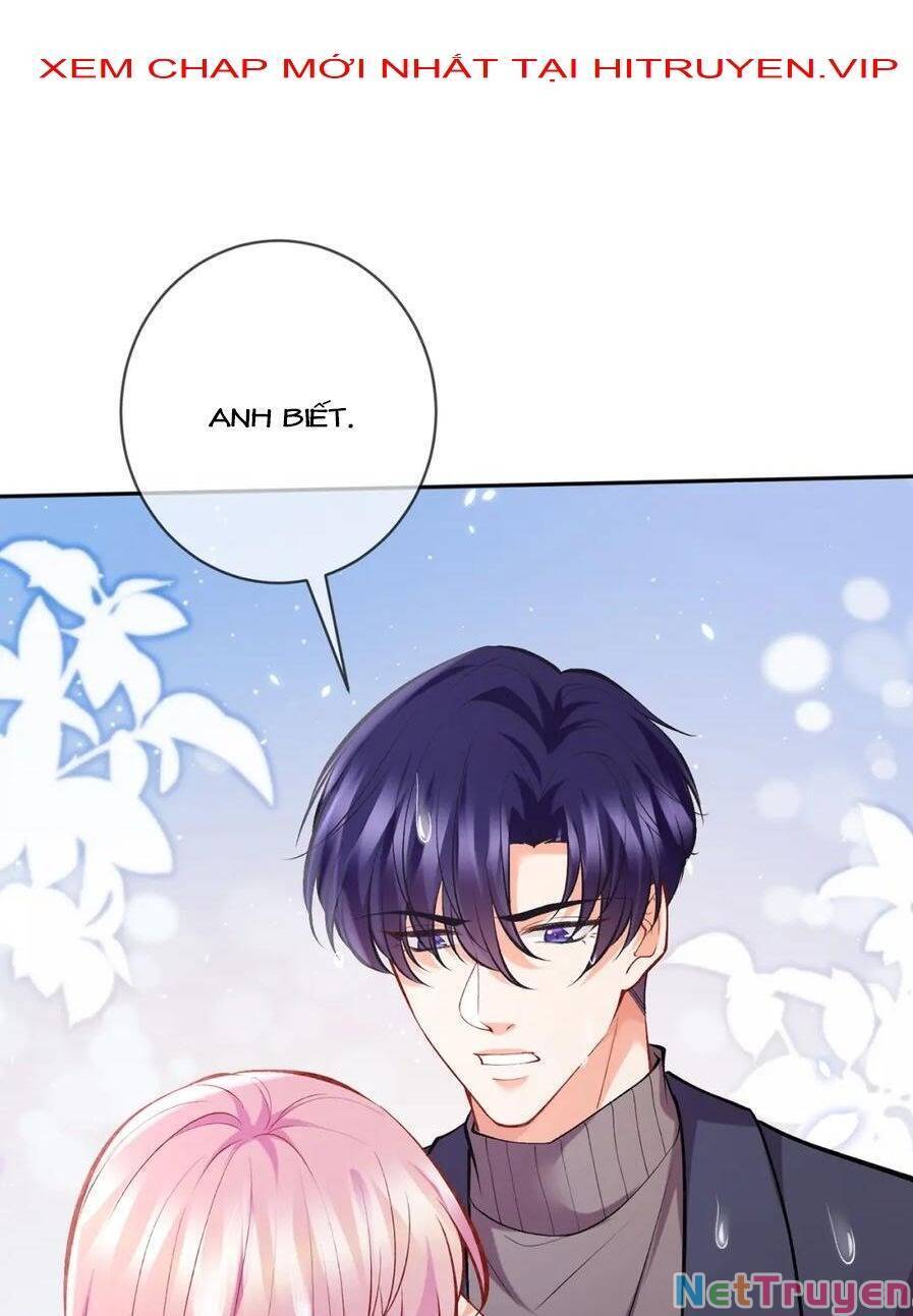 Danh Môn Chí Ái Chapter 395 - 49