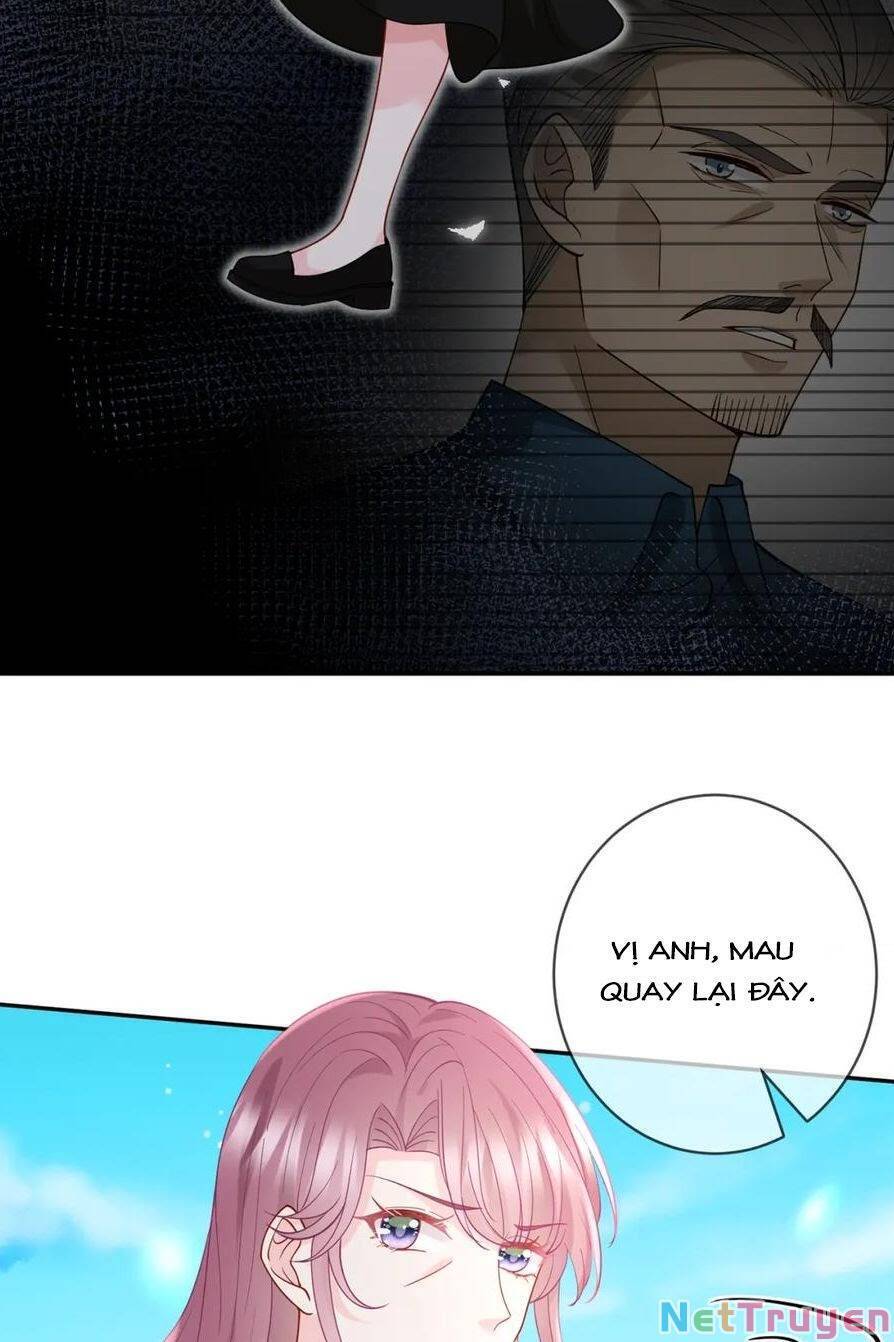 Danh Môn Chí Ái Chapter 397 - 19