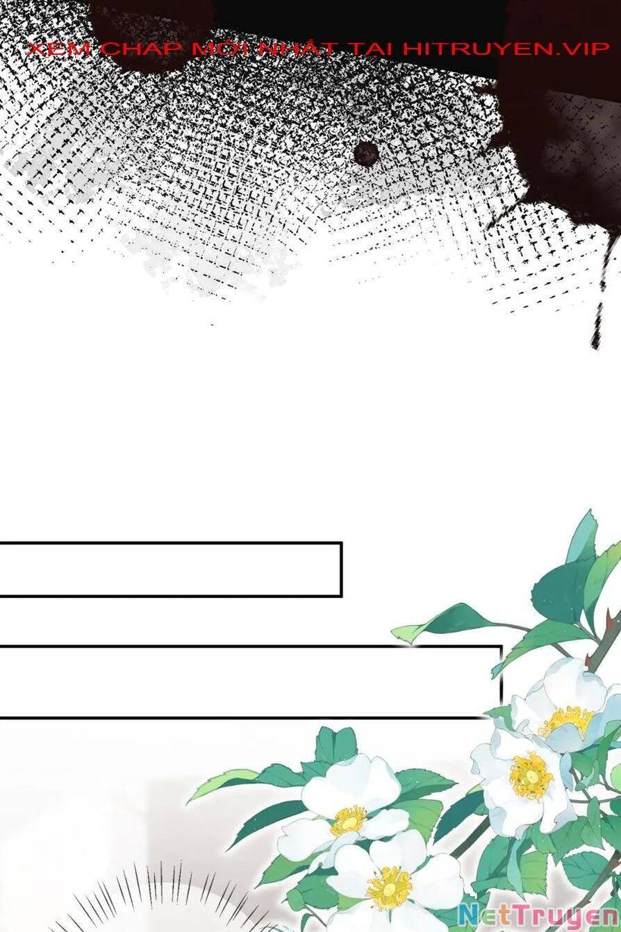 Danh Môn Chí Ái Chapter 397 - 25