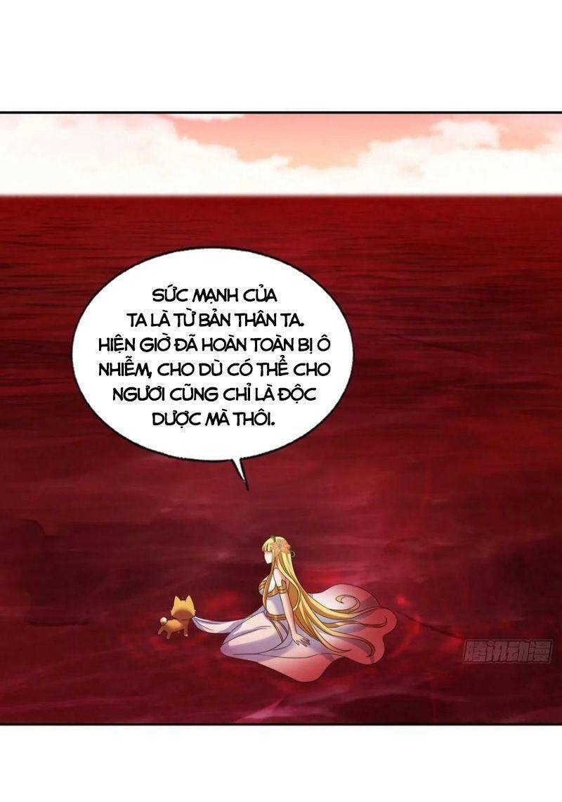 Trọng Sinh Thành Cậu Vàng Tại Dị Thế Chapter 264 - 17