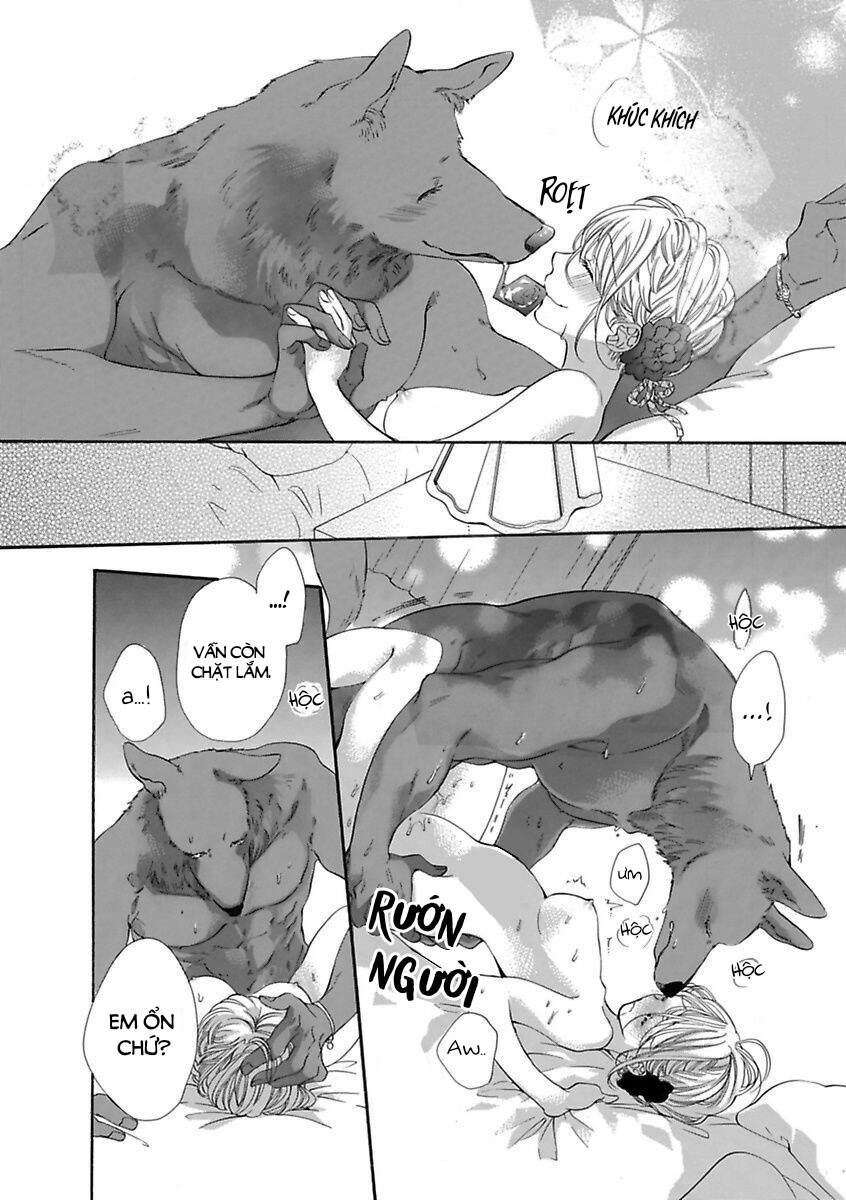 Người Thú Và Hana-Chan Chapter 16 - 10