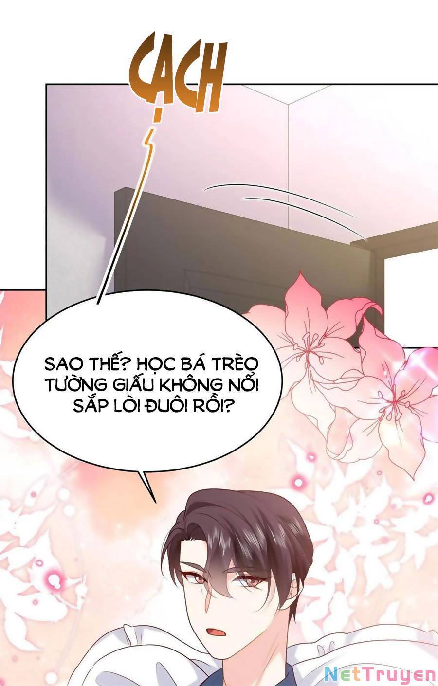 Hotboy Quốc Dân Là Nữ Chapter 345 - 24