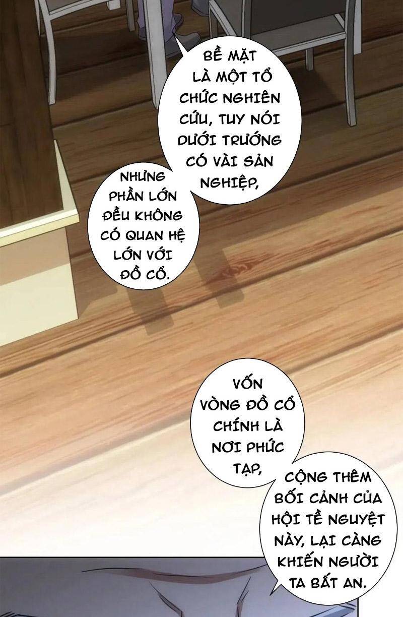 Ta Có Thể Thấy Tỉ Lệ Thành Công Chapter 193 - 19