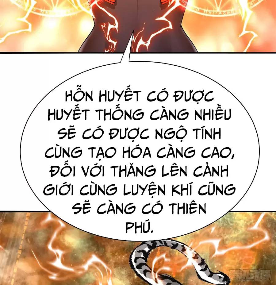 Ta Nhặt Được Thuộc Tính Tại Tu Chân Giới Chapter 212 - 24