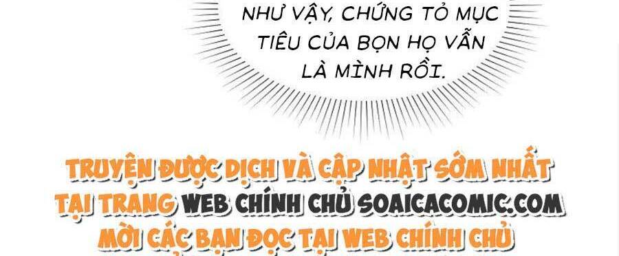 Băng Sơn Tổng Tài Sủng Thê Đến Vô Đạo Chapter 242 - 4