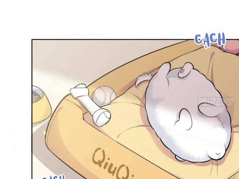 Cha Vợ Đại Nhân Là Bà Xã Chapter 163 - 7