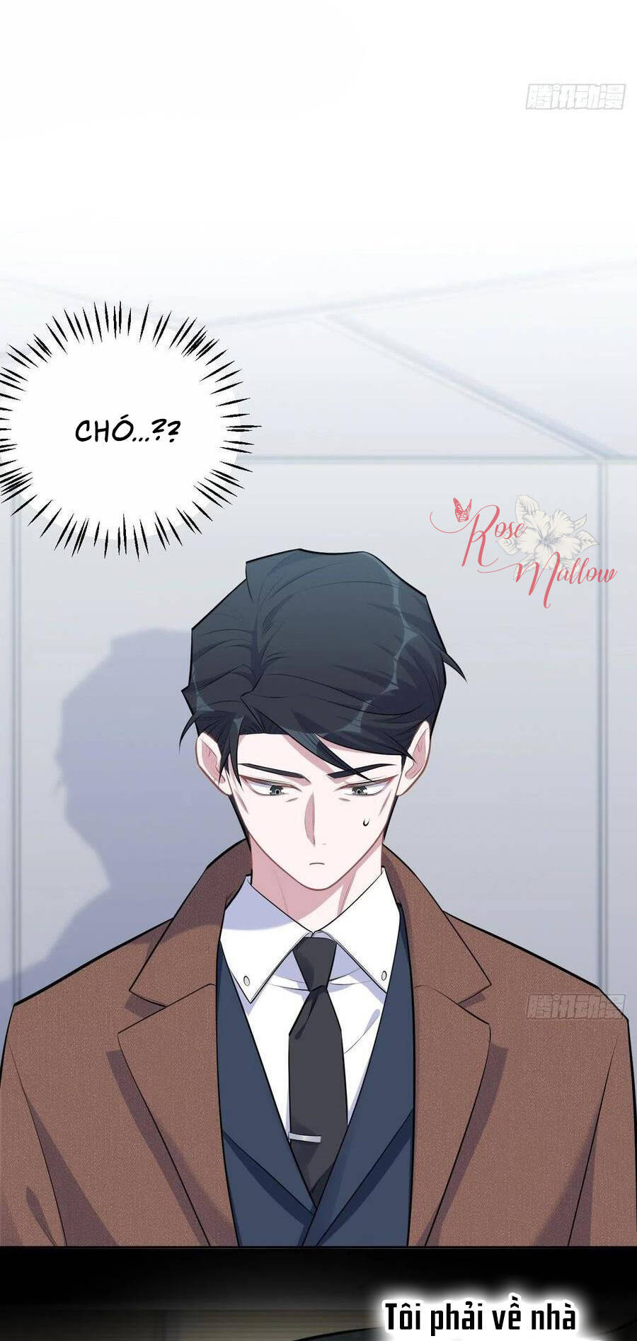 Cha Vợ Đại Nhân Là Bà Xã Chapter 164 - 2